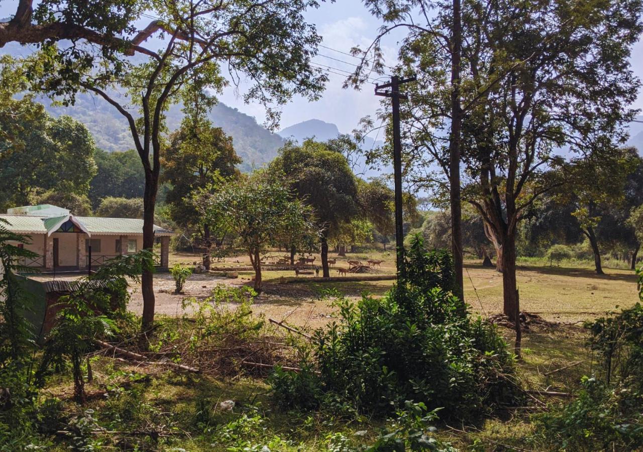 Wild Pastures By Nature Resorts And Stays Masinagudi Extérieur photo